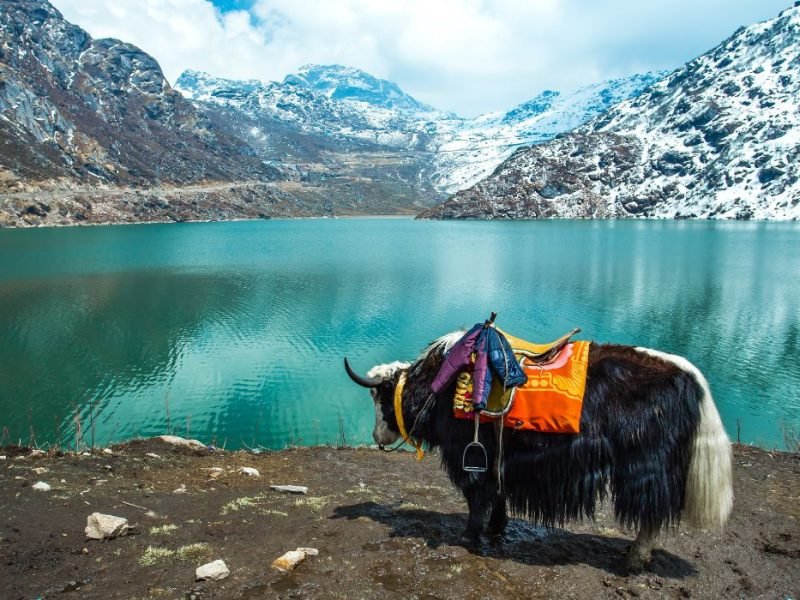 Gangtok Nature & Culture Getaway